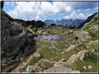 foto Forcella Orsera e Forcella Buse Todesche